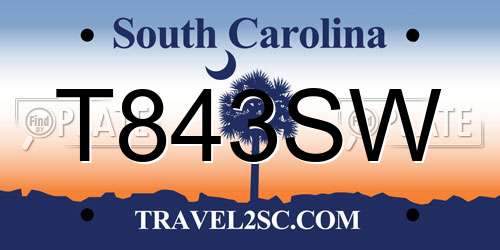 T843SW South Carolina License Plate
