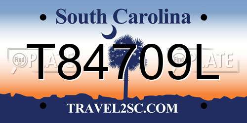 T84709L South Carolina License Plate