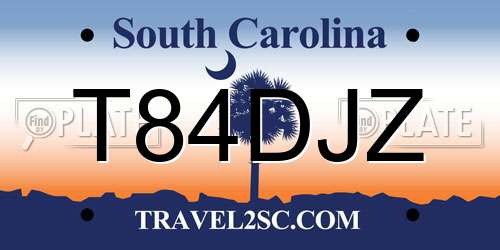 T84DJZ South Carolina License Plate