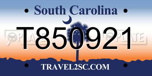 T850921 South Carolina License Plate
