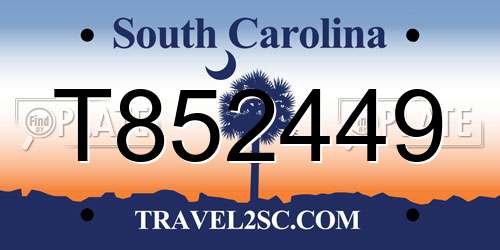 T852449 South Carolina License Plate