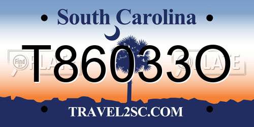 T86033O South Carolina License Plate