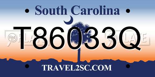 T86033Q South Carolina License Plate