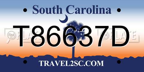 T86637D South Carolina License Plate