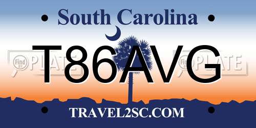 T86AVG South Carolina License Plate