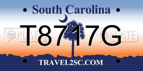 T8717G South Carolina License Plate