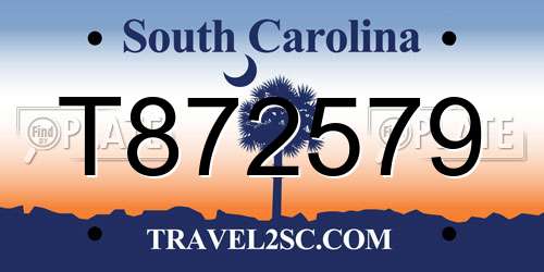 T872579 South Carolina License Plate