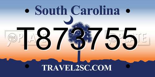 T873755 South Carolina License Plate