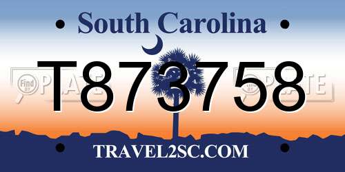 T873758 South Carolina License Plate