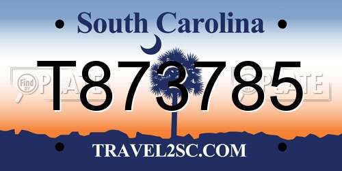 T873785 South Carolina License Plate