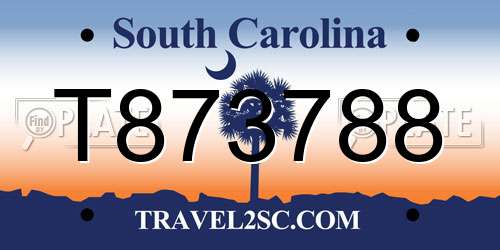 T873788 South Carolina License Plate
