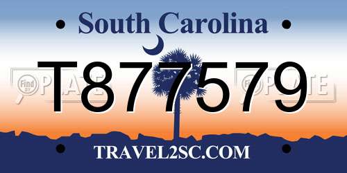 T877579 South Carolina License Plate