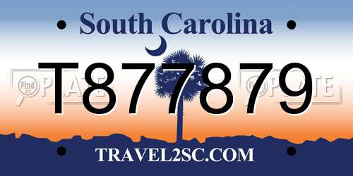 T877879 South Carolina License Plate