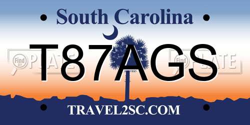 T87AGS South Carolina License Plate