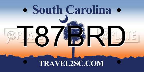 T87BRD South Carolina License Plate