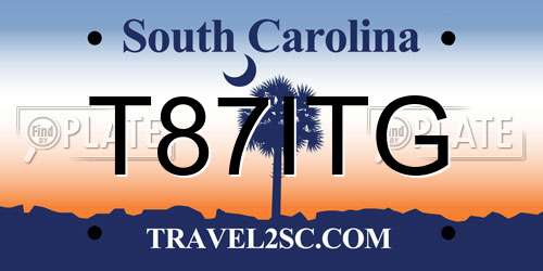 T87ITG South Carolina License Plate
