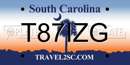 T87IZG South Carolina License Plate