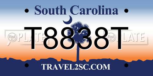 T8838T South Carolina License Plate