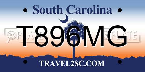 T896MG South Carolina License Plate