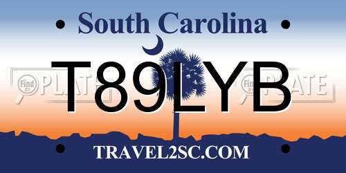 T89LYB South Carolina License Plate