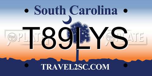 T89LYS South Carolina License Plate