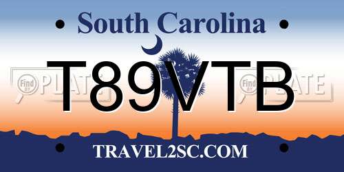 T89VTB South Carolina License Plate