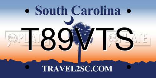 T89VTS South Carolina License Plate