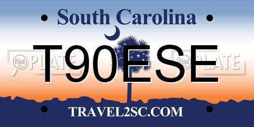 T90ESE South Carolina License Plate