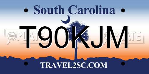 T90KJM South Carolina License Plate