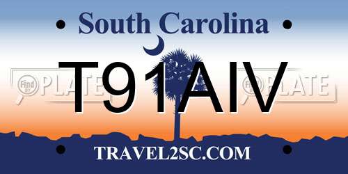 T91AIV South Carolina License Plate