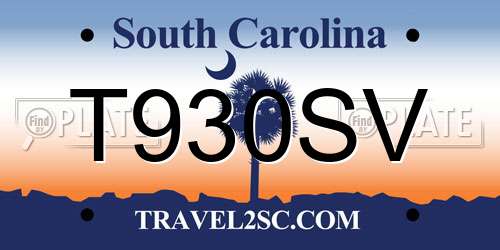 T930SV South Carolina License Plate