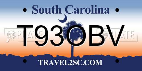 T93OBV South Carolina License Plate