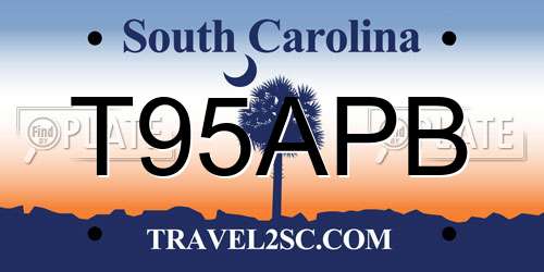 T95APB South Carolina License Plate