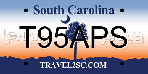 T95APS South Carolina License Plate