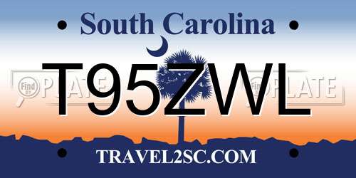 T95ZWL South Carolina License Plate