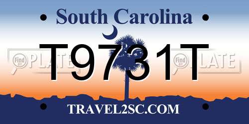 T9731T South Carolina License Plate