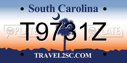 T9731Z South Carolina License Plate