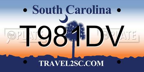 T981DV South Carolina License Plate