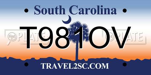 T981OV South Carolina License Plate