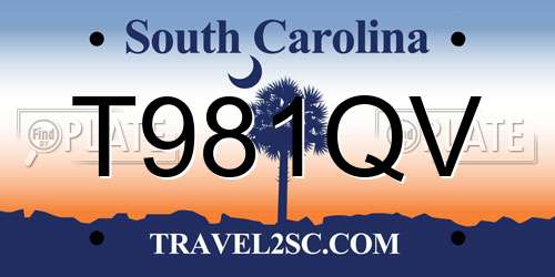 T981QV South Carolina License Plate