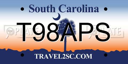 T98APS South Carolina License Plate