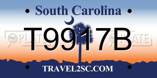 T9917B South Carolina License Plate