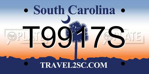 T9917S South Carolina License Plate