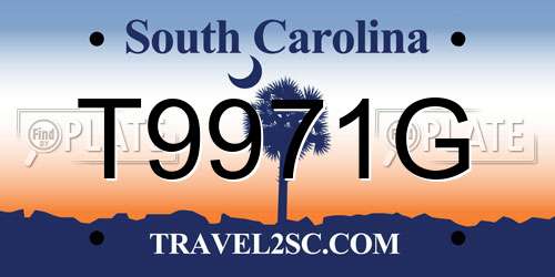 T9971G South Carolina License Plate