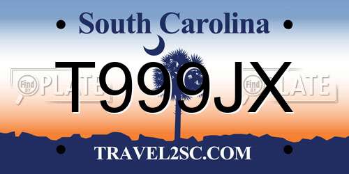 T999JX South Carolina License Plate
