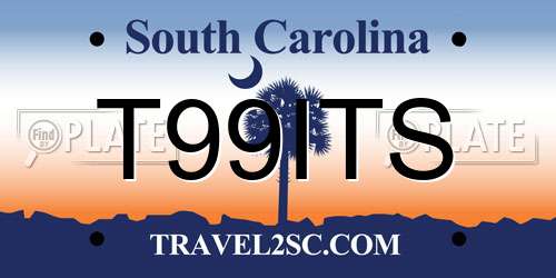T99ITS South Carolina License Plate