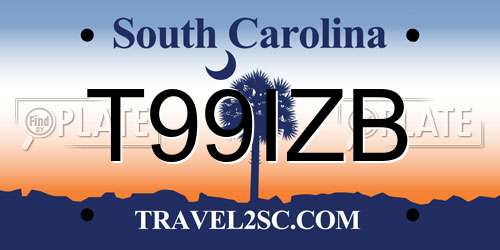 T99IZB South Carolina License Plate