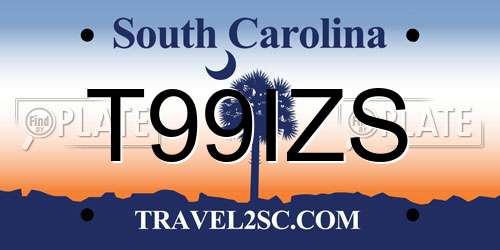 T99IZS South Carolina License Plate