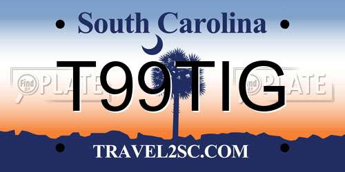 T99TIG South Carolina License Plate