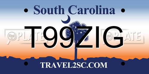 T99ZIG South Carolina License Plate